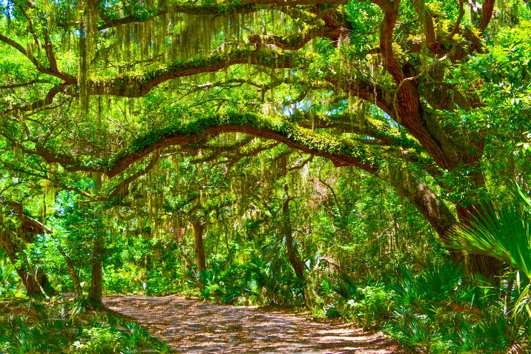 Fort Clinch State Park