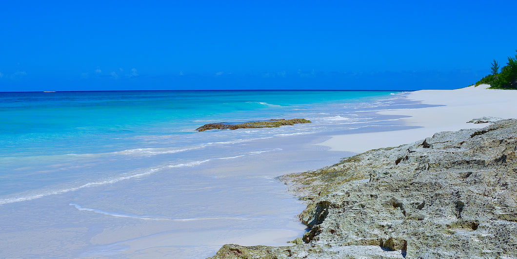 Pink Sands