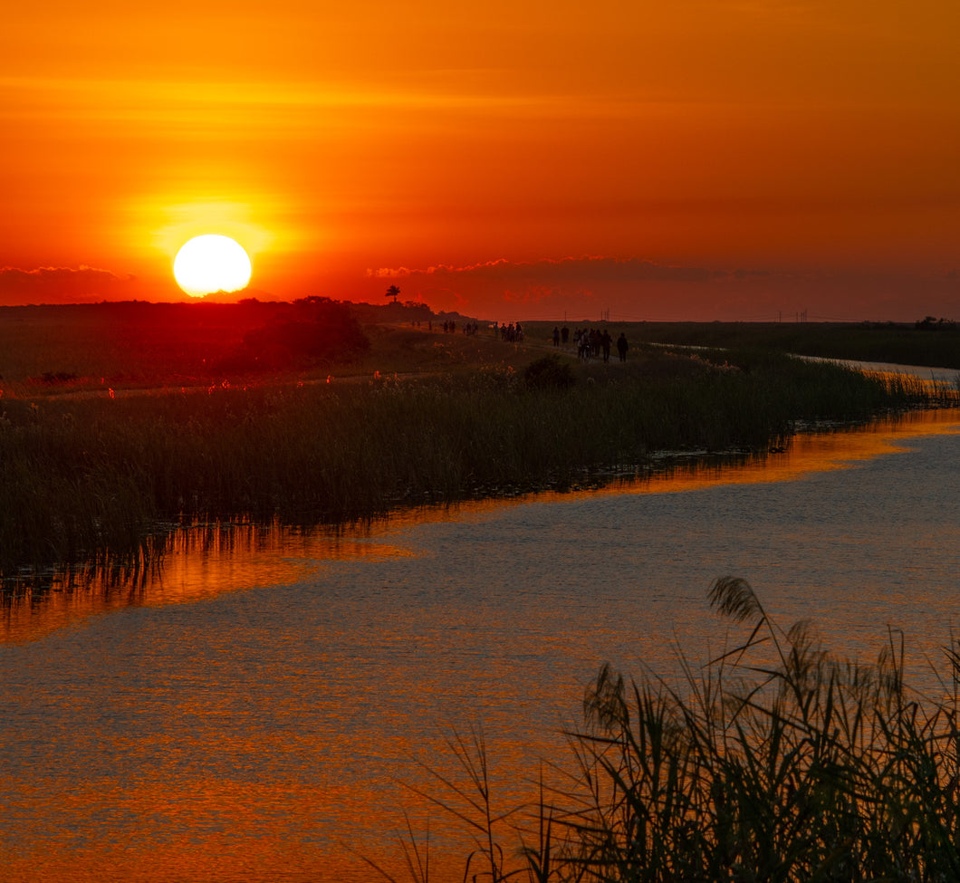 Sunset over the Everglades