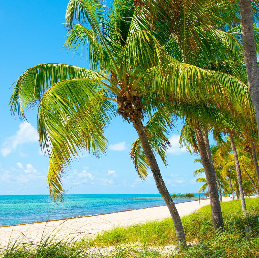 Key West Beach