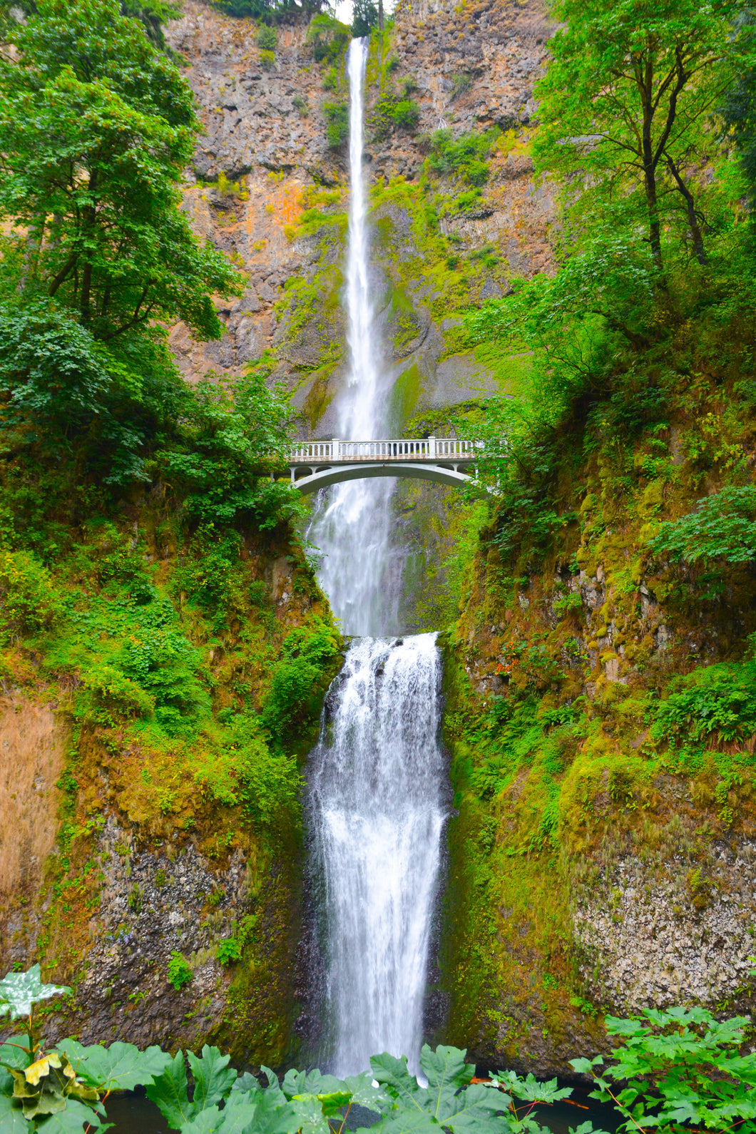 Multnomah Falls, Oregon